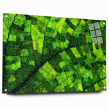 Close-up of green leaves in an abstract pattern on an acrylic glass print, suitable for bedroom or dining room decor.