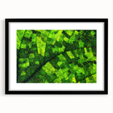 Extra large framed wall art featuring a close-up of colorful, textured leaves, ideal for living room decor.