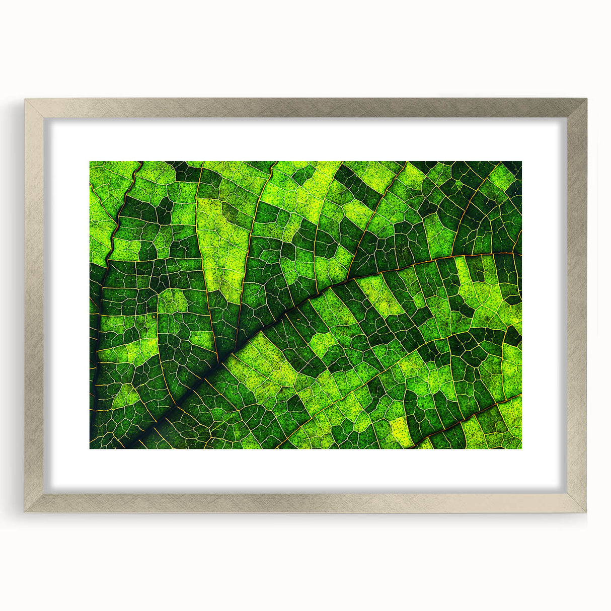 Textured art of abstract leaf patterns in muted green and brown on a framed silver mat, ideal for bedroom art.