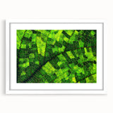 Close-up abstract art prints of leaves in muted green tones, framed with a white mat.