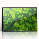 Large abstract wall art featuring close-up leaves design in muted greens, framed in black acrylic.