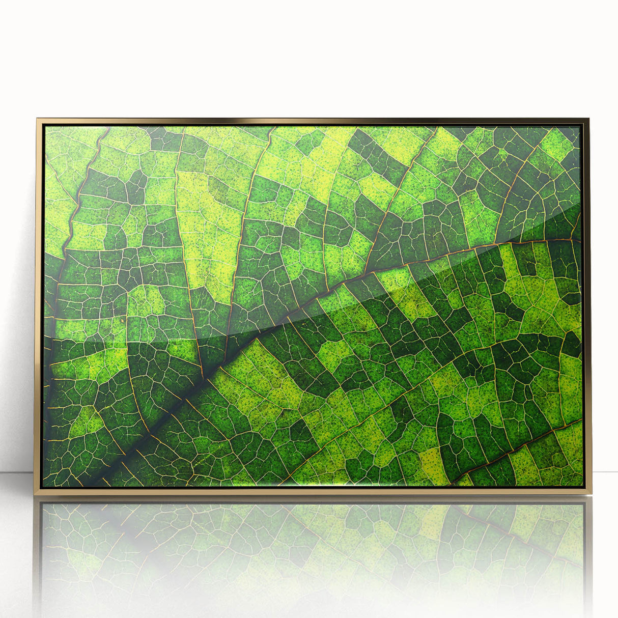Framed acrylic print of close-up leaves in green hues, mid-century modernist style, ideal for modern art wall decor.