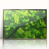 Framed acrylic print of close-up leaves in green hues, mid-century modernist style, ideal for modern art wall decor.