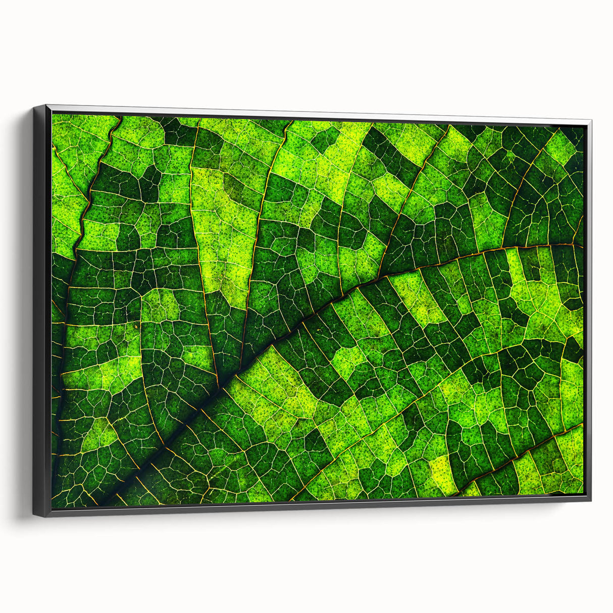 Black and white framed canvas featuring a close-up of leaves, ideal for bedroom wall decor.