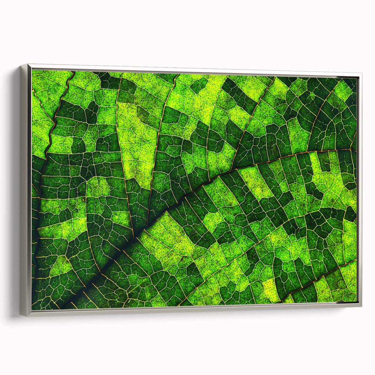 Framed canvas of a vintage landscape painting featuring colorful leaves against a black background.