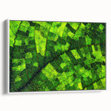 Extra large framed canvas of vintage poster art featuring close-ups of leaves in vibrant colors, ideal for living room decor.