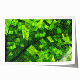Close-up of green leaves, extra large rolled print with a focus on detailed textures.