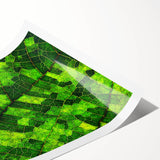 Extra large wall art featuring line art flowers in black and white on rolled print, ideal for large living room decor.