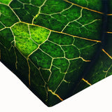 Black and white close-up of leaves on a large canvas, ideal for bedroom wall art with a minimalist style.