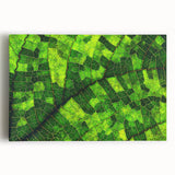 Close-up of leaves in black and white on a stretched canvas, ideal for kitchen art.