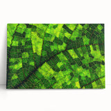 Black and white close-up of leaves on a stretched canvas, ideal for kitchen wall art.