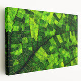 Close-up of green leaves on a large stretched canvas, ideal for kitchen wall art.
