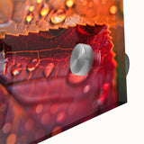 Close-up of leaves in green and yellow tones on acrylic glass, suited for dining room art in a mid-century modernist style.