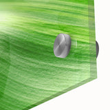 Large abstract wall art on acrylic glass featuring close-up green leaves, in mid-century modernist style.