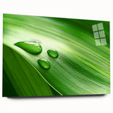 Close-up of leaves in green and yellow tones on acrylic glass, suitable for bedroom or dining room decor.