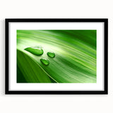 Extra large abstract art print of colorful, textured leaves on a black framed canvas, ideal for living room decor.