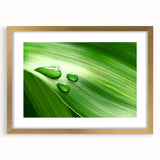 Extra large abstract art print featuring close-up leaves design in textured green tones, framed in gold.