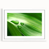 Abstract art print of overlapping leaves in green and yellow tones, framed with a white mat.