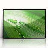 Large abstract wall art featuring close-up leaves in muted green tones, framed in black acrylic.