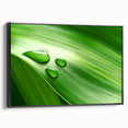 Black and white framed canvas featuring a close-up of leaves, suitable for bedroom wall decor.