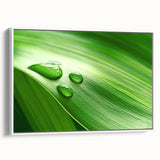 Extra large framed canvas of vintage poster art featuring close-up leaves in colorful hues, ideal for living room decor.