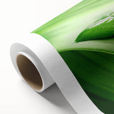 Art deco poster of close-up leaves in green and yellow hues on rolled canvas, ideal for nursery wall art.