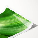 Extra large rolled print featuring line art flowers in muted greens, ideal for large living room wall art.