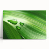 Black and white close-up photo of leaves on a stretched canvas, ideal for kitchen wall art or bedroom ambiance.