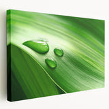 Close-up of green leaves on a large stretched canvas, ideal for kitchen wall art.