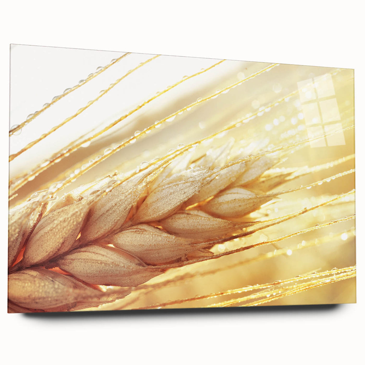 Large abstract wall art featuring close-up leaves design in green and brown tones on acrylic glass.