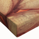 Close-up of leaves in black and white on stretched canvas, suitable for bedroom wall art.