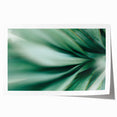 Close-up of green leaves, extra large rolled print, ideal for art wall dining room or classy bathroom wall art.