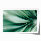Close-up of green leaves, extra large rolled print, ideal for art wall dining room or classy bathroom wall art.