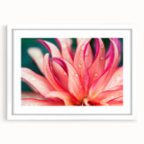 Abstract art print of close-up leaves in muted green tones, framed with a white mat.