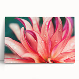 Close-up of leaves in black and white on a large stretched canvas, ideal for kitchen wall art.