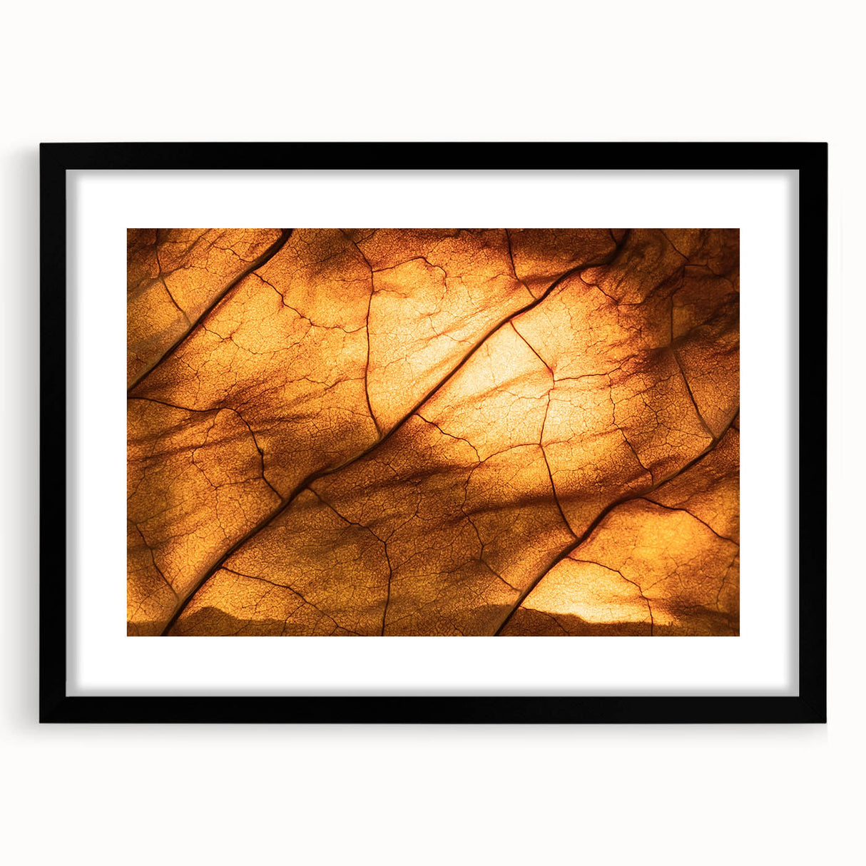 Extra large abstract art print of colorful, textured leaves, framed with a black mat, ideal for living room decor.