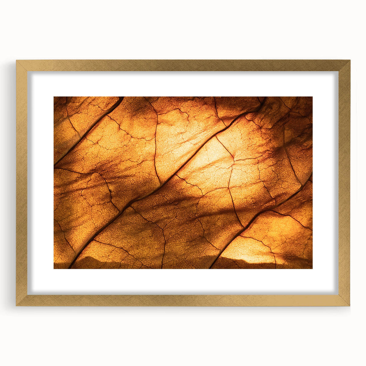Extra large abstract art print featuring close-up textured leaves in green tones, framed in gold.