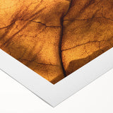 Art deco poster featuring close-up of green leaves on a rolled canvas, suitable for dining room or bathroom wall art.