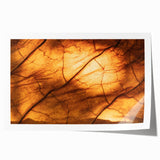 Close-up of green leaves on a rolled canvas print, suitable for art wall dining room or bathroom.