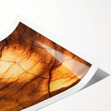 Extra large rolled print featuring line art flowers in black on a white background, ideal for large living room wall art.