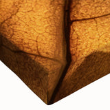 Close-up black and white photo of leaves, printed on large stretched canvas, suitable for bedroom wall art.