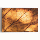 Black and white close-up photo of leaves on stretched canvas, suitable for kitchen wall art or bedroom ambiance.