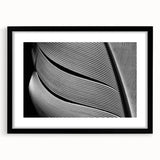 Extra large abstract art print featuring a close-up of colorful leaves, textured details, on a black framed canvas.