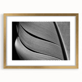 Extra large abstract art print featuring a close-up of textured leaves in gold and green tones, framed with a gold mat.