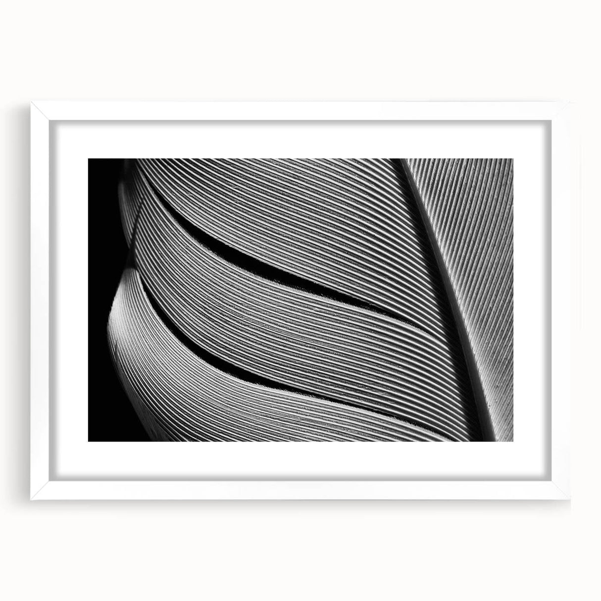 Abstract art print of close-up leaves in soft green and white, framed with a white mat, ideal for dining room decor.