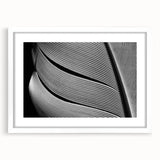 Abstract art print of close-up leaves in soft green and white, framed with a white mat, ideal for dining room decor.
