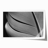 Close-up image of green leaves on a white background, printed on rolled canvas.