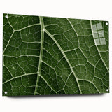Close-up of green leaves on acrylic glass, ideal for bedroom or dining room decor.