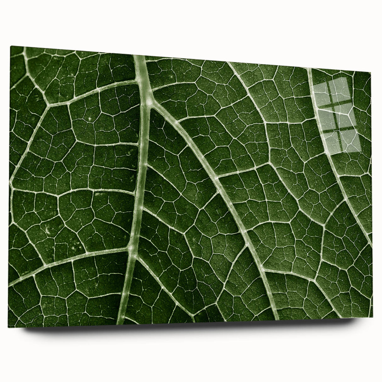 Close-up of leaves in green and yellow tones on acrylic glass, suited for bedroom or dining room art.