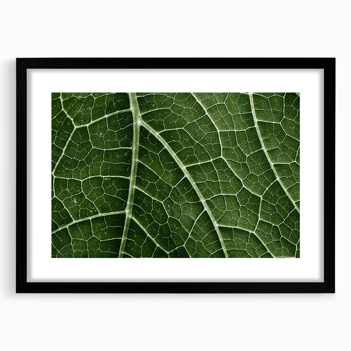 Extra large abstract art print featuring colorful, textured leaves on a black framed canvas, ideal for living room decor.